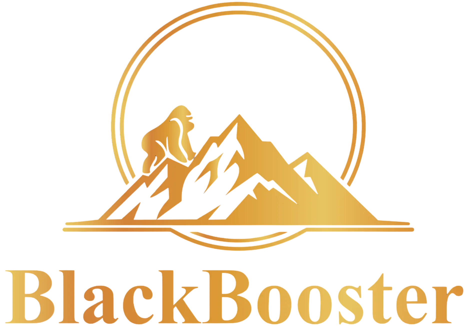 Black Booster